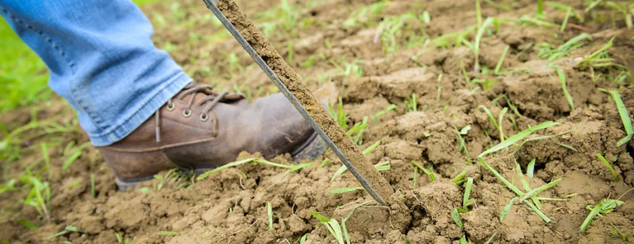 Contrôle APL : nouvelles cultures échantillonnées et comment bien se préparer au contrôle ?