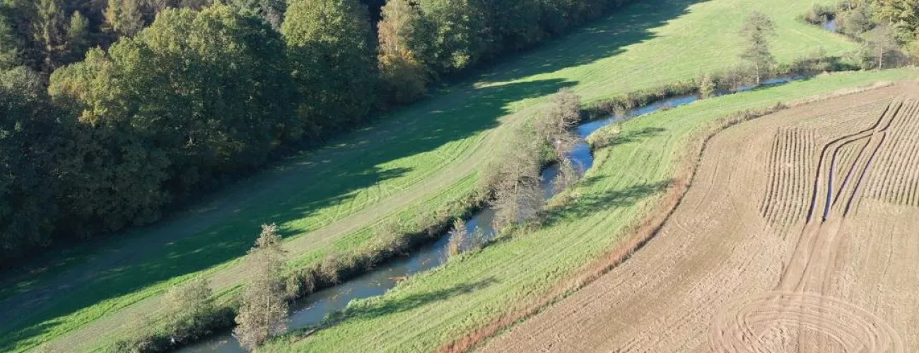 Couvert végétaux permanents