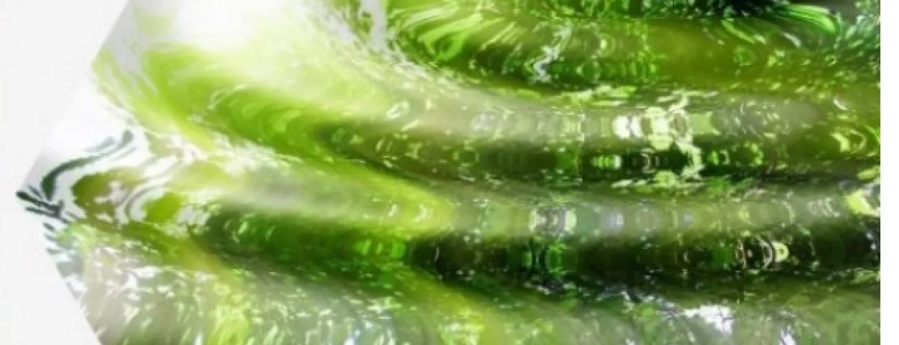 Offre d'emploi du CRA-W: chercheur-euse junior pour un projet PROTECT'eau