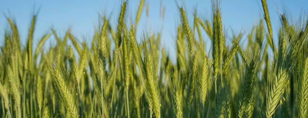 Formation phytolicence au Salon de l'autonomie fourragère, le 20/09