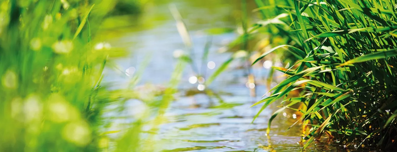 PROTECT'eau recrute un employé administratif 